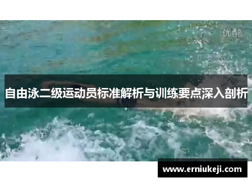 自由泳二级运动员标准解析与训练要点深入剖析